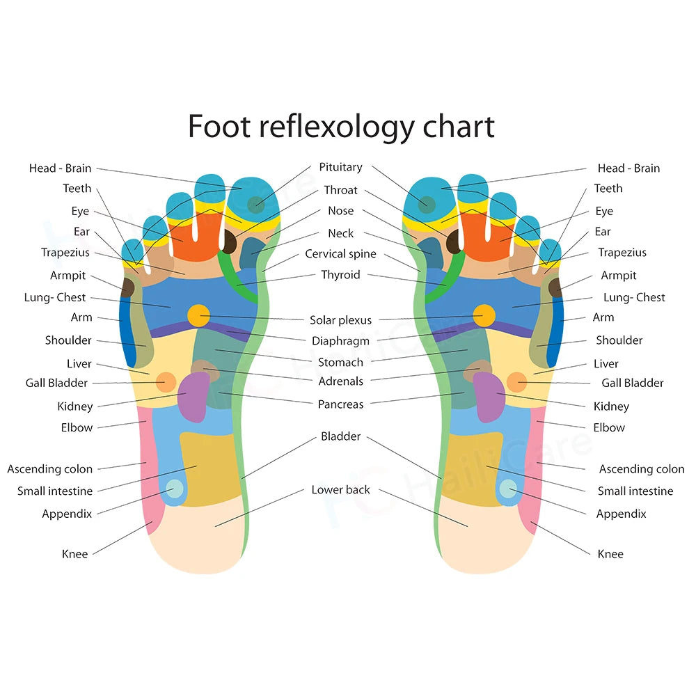Wormwood Anti-Swelling Detox Pads Foot Patch