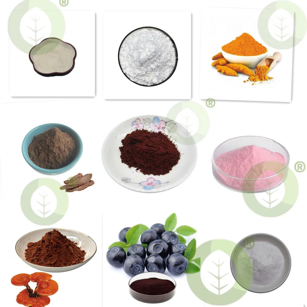 Organic Silk Amino Acid Powder