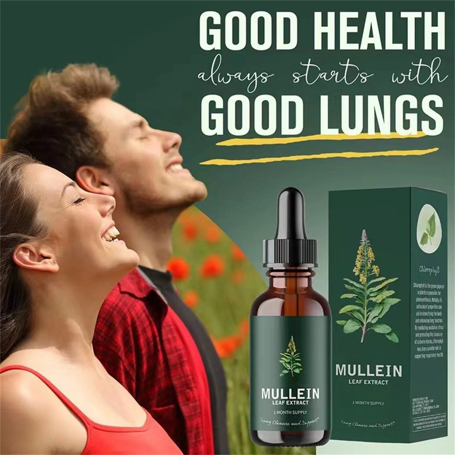 Mullein Leaf Extract Nose Cleanse